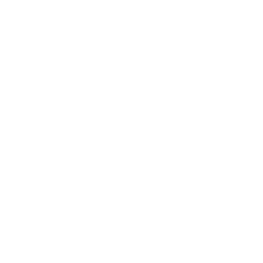 Art of Attack Logo AOA White 1x1